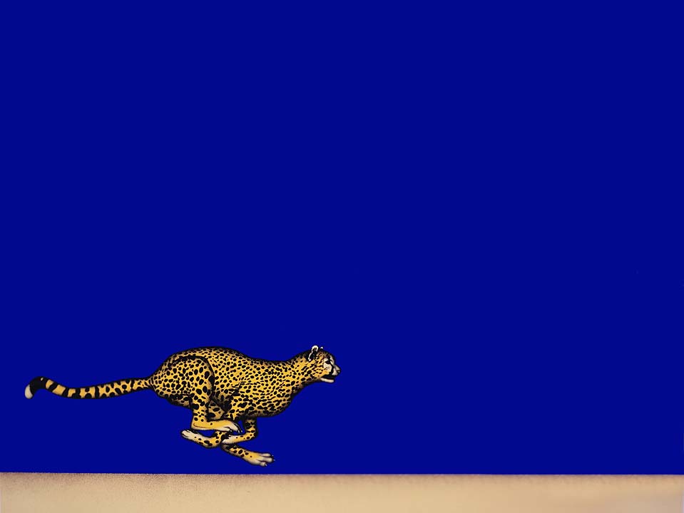 Dieter_Asmus_94_Laufender_Gepard