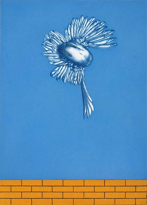 Dieter_Asmus_95_Fliegende_Taube_IV