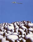 Dieter_Asmus_88_Landschaft_mit_Duesenjaeger
