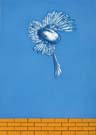 Dieter_Asmus_95_Fliegende_Taube_IV