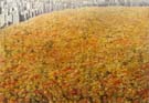 Dieter_Asmus_76_Central_Park