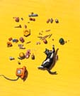 Dieter_Asmus_63_Katze+Maus_I