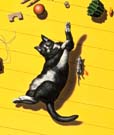 Dieter_Asmus_64_Katze+Maus_(Ausschnitt)