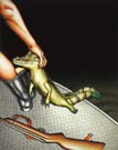 Dieter_Asmus_69_Alligatorjagd