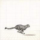 Dieter_Asmus_80_Laufender_Gepard